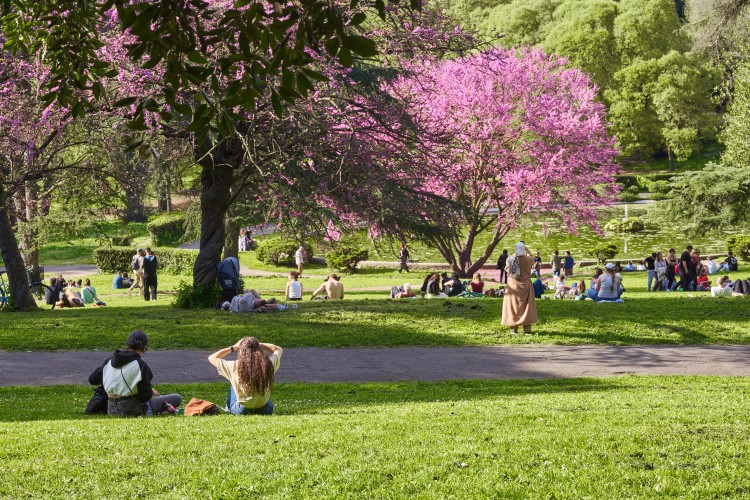 People in a park in Rome