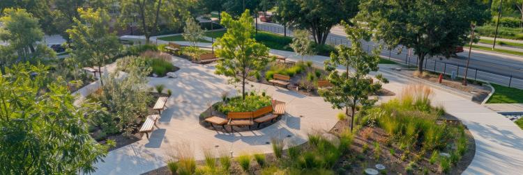 Concept of green city. View of a park with benches.