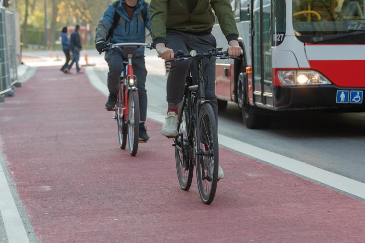 People riding bikes on a bike lane next to a bus lane 