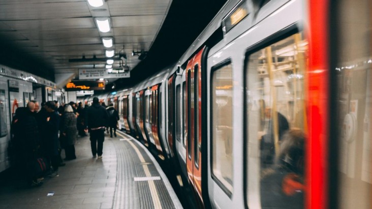 Image for Transit Insights