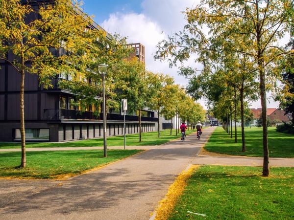 People cycling in a quiet, green street surrounded by trees and low buildings
