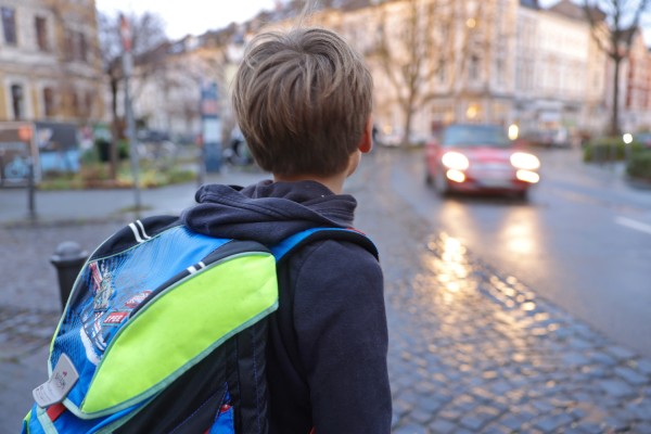 School Route Demand Model 