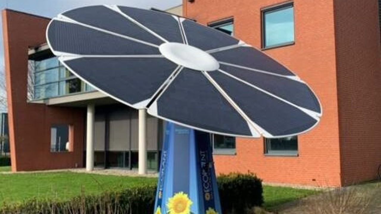 Ecoplant provide the unique opportunity for branding to hightlight the green identity of your business