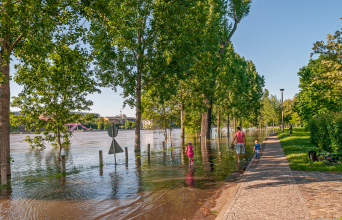 Image for Germany: Scientific evaluation of projects on the adaptation of urban spaces to climate change.