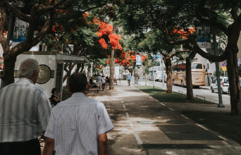 Image for Tel Aviv: How to increase pedestrian road safety?