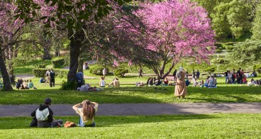 Image for European Green Capital Award 2026