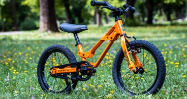 Image for Devonic former